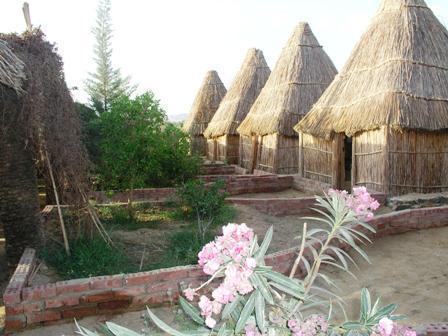 Badry Sahara Camp Hotel Bawati Værelse billede